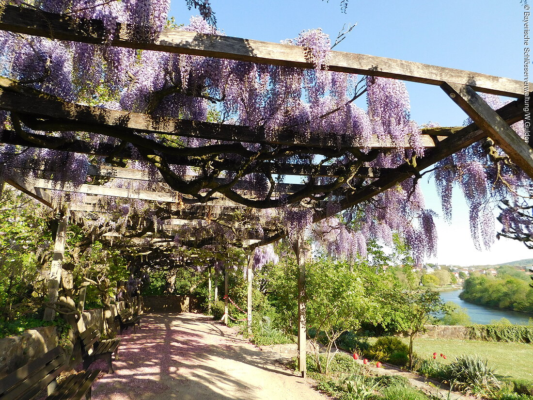 Im Pompejanum-Garten (Aschaffenburg, Spessart-Mainland)