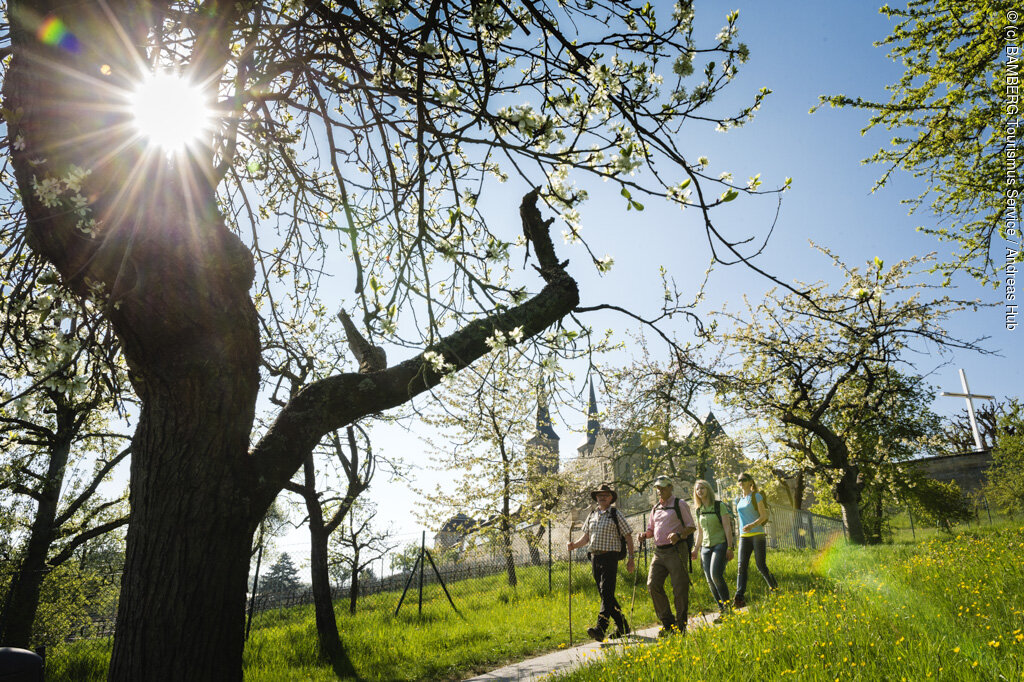 Wandern am Michelsberg (Bamberg, Steigerwald)