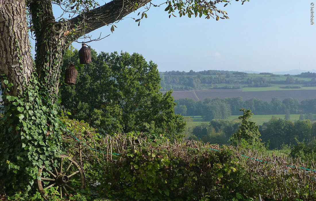 Wander-Panorama (Kulmbach, Frankenwald)