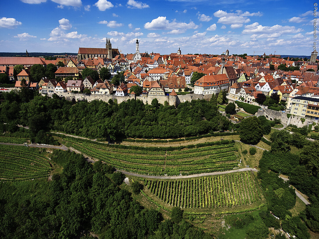 Weinberge vor der Stadt (Rothenburg ob der Tauber, Romantisches Franken)