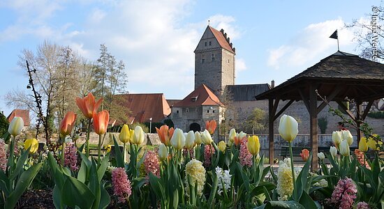 Rothenburger Tor (Dinkelsbühl, Romantisches Franken)