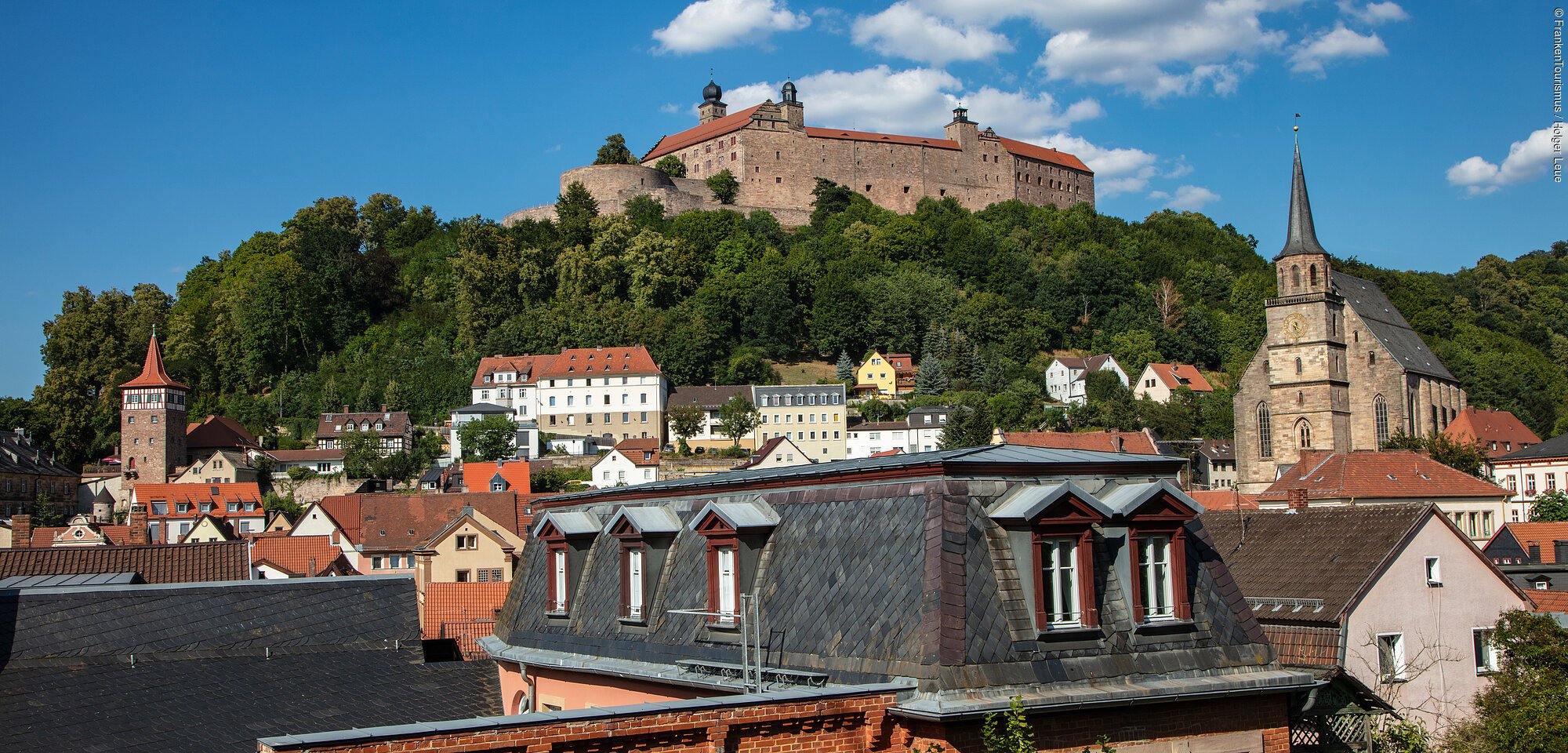 Blick über eine Stadt auf eine mächtige Burganlage, umgeben von grünen Wäldern