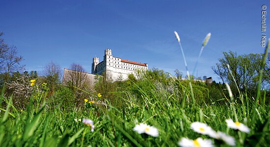 Blick über eine saftig grüne Wiese hinauf zu einer Burg aus weißem Stein mit rotem Dach