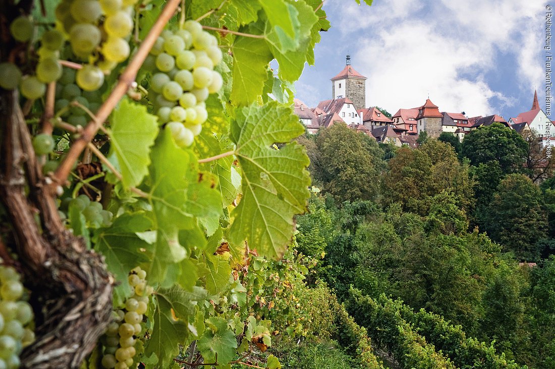 Stadtansicht mit Weinbergslagen (Rothenburg ob der Tauber, Romantisches Franken)