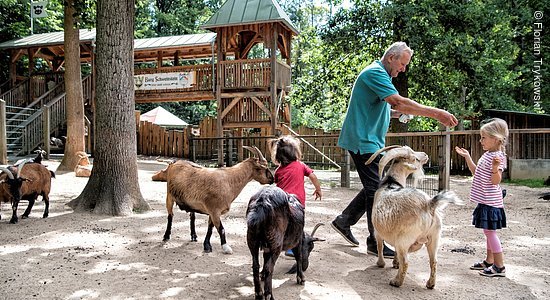 Wildpark an den Eichen (Schweinfurt, Fränkisches Weinland)